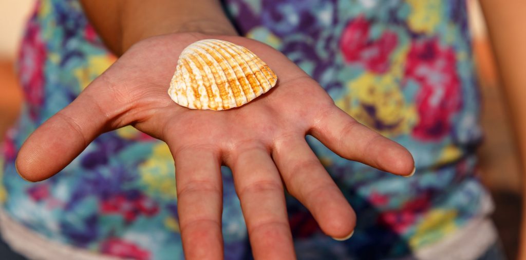 Die Muschel Üben und Musizieren